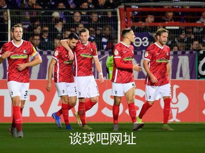 谈球吧网址介绍
